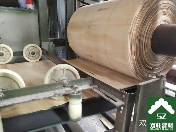 建筑模板廠(chǎng)家案例