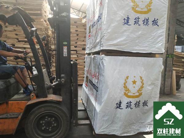 ����ģ�����a(ch��n)܇�g (202).jpg