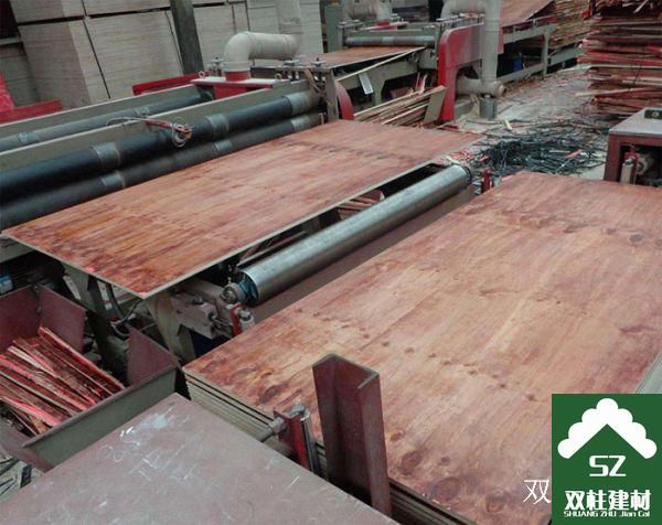 建筑模板生產(chǎn)車間 (79).jpg