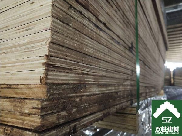 ����ģ�����a(ch��n)܇�g (10).jpg