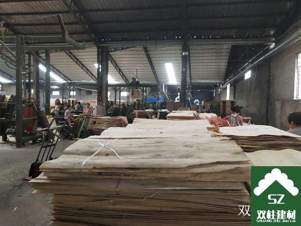 ����ģ�����a(ch��n)܇�g (13).jpg